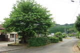 肥後 米野山城の写真