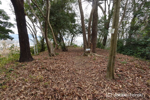 肥後 南山内の高城の写真