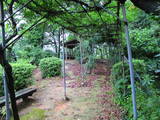 肥後 小川城の写真