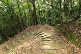 肥後 大津山城の写真