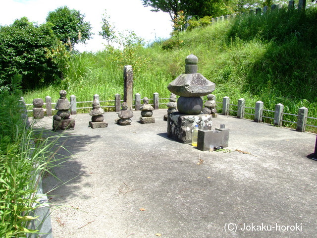 肥後 大矢野城(中村城)の写真