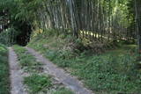肥後 坂本城の写真