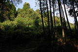 肥後 坂本城の写真