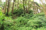 肥後 坂下城の写真