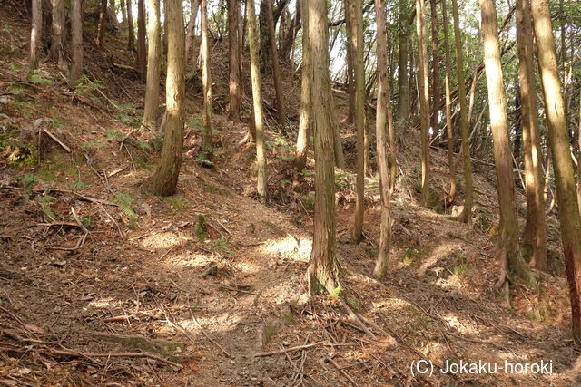 肥後 佐敷東の城の写真