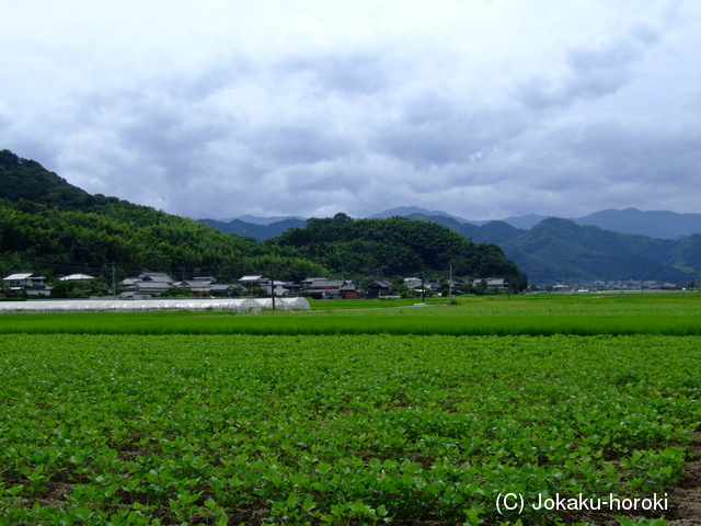 肥後 早川城の写真