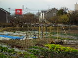 肥後 田次郎丸館の写真