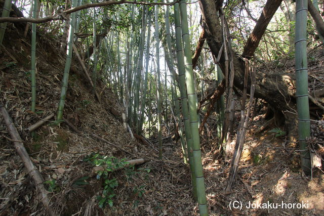 肥後 鷹峯新城の写真