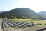 肥後 鷹取城の写真