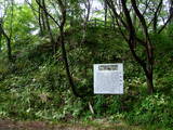 肥後 竹崎城の写真