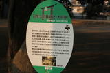 肥後 田川内城の写真