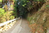 肥後 津奈木城の写真