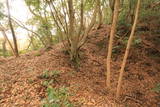 肥後 筒ヶ嶽城の写真