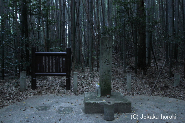 肥後 打越城(七城町)の写真