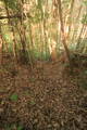 肥後 内野河内城の写真