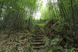 肥後 上野原城の写真