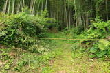 肥後 和仁石山城の写真