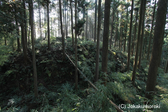 肥後 山田城の写真