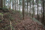 肥後 山田城の写真