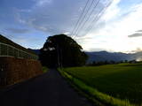 肥後 吉田城の写真