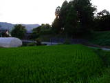 肥後 吉田城の写真