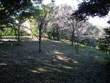 常陸 阿波崎城の写真