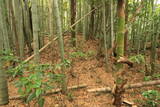 常陸 立の越館の写真