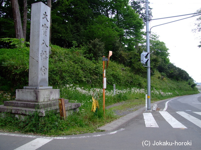 常陸 大宝城の写真