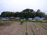 常陸 藤沢城の写真