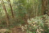 常陸 船子城の写真