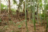 常陸 船子城の写真