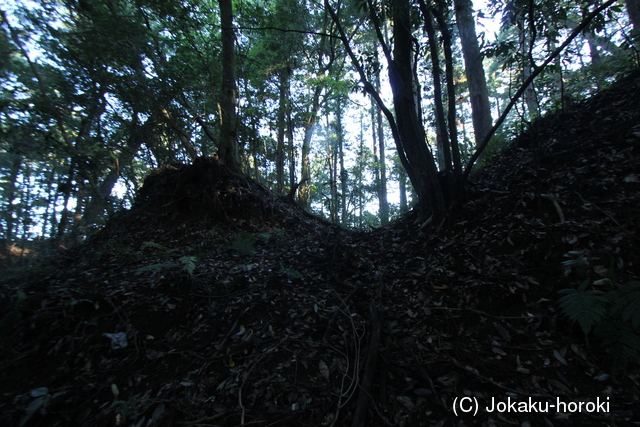 常陸 御前山城の写真