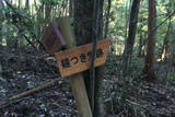 常陸 御前山城の写真