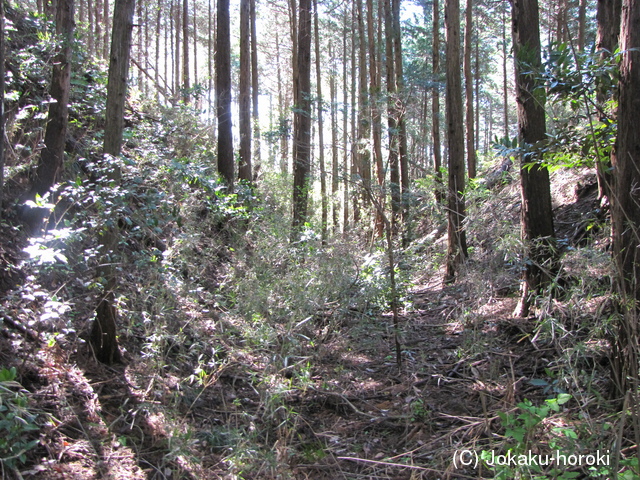 常陸 羽黒山城の写真