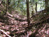 常陸 羽黒山城の写真