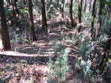 常陸 羽黒山城の写真