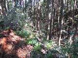 常陸 羽黒山城の写真