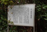 常陸 花ヶ崎城の写真