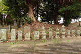 常陸 花ヶ崎城の写真