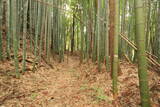 常陸 塙城(北郭)の写真