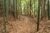 常陸 塙城(北郭)の写真