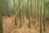 常陸 塙城(北郭)の写真