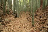 常陸 塙城(北郭)の写真