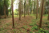 常陸 塙城(北郭)の写真