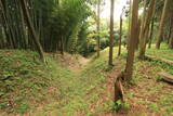 常陸 塙城(北郭)の写真