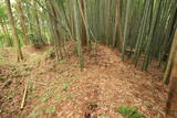 常陸 塙城(北郭)の写真