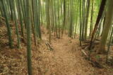 常陸 塙城(北郭)の写真