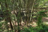 常陸 林城の写真
