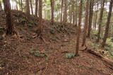 常陸 檜山要害の写真