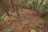 常陸 檜山要害の写真